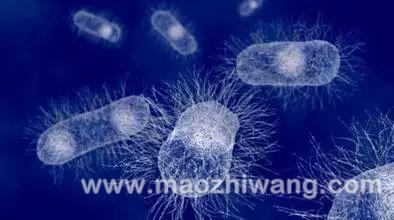 1574730041516381.jpg 微信图片_20191126085913.jpg